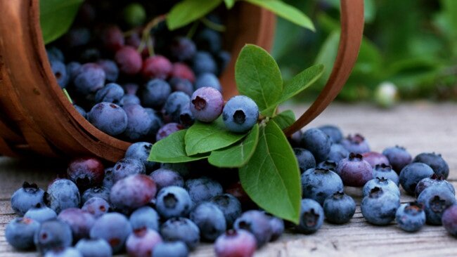 Quercetin